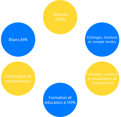 Actions de l'Enseignant en APA